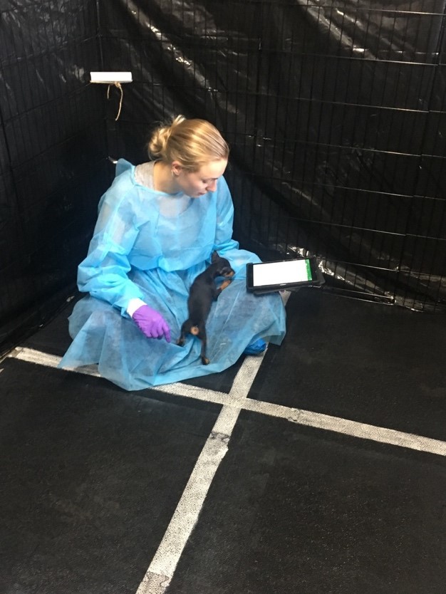 a researcher playing with a small dog